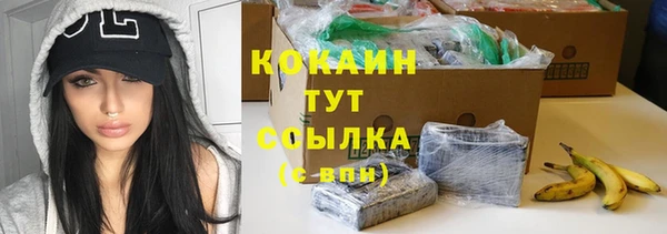 MESCALINE Бородино